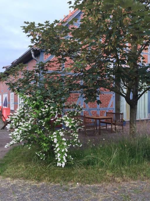 Entspannung In Der Schoenen Lueneburger Heide Gohrde Zewnętrze zdjęcie