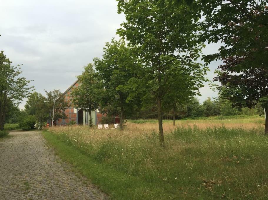 Entspannung In Der Schoenen Lueneburger Heide Gohrde Zewnętrze zdjęcie