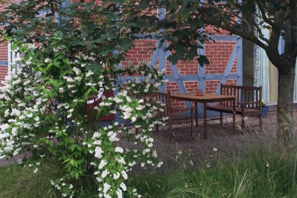 Entspannung In Der Schoenen Lueneburger Heide Gohrde Zewnętrze zdjęcie